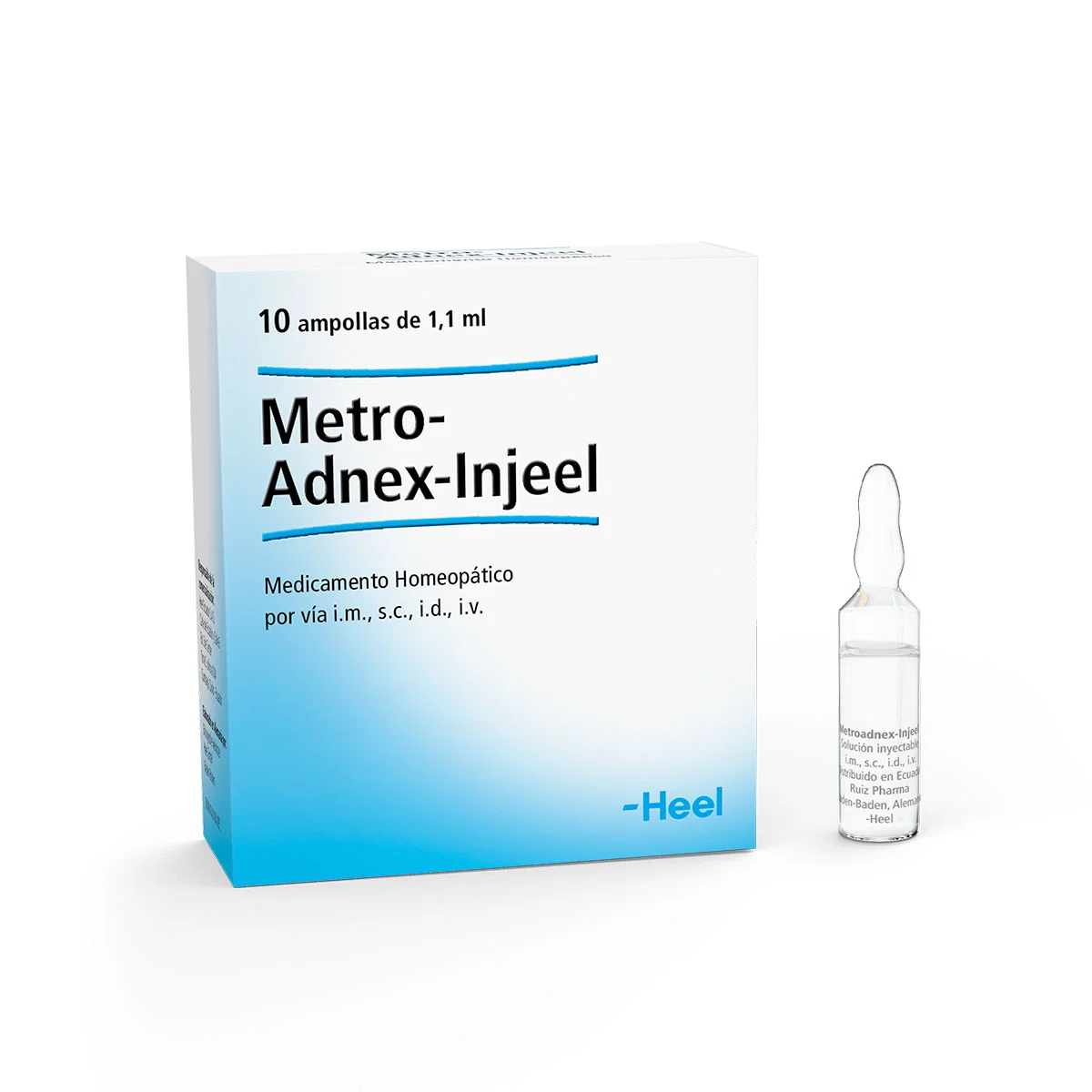 Metro-Adnex-Injeel